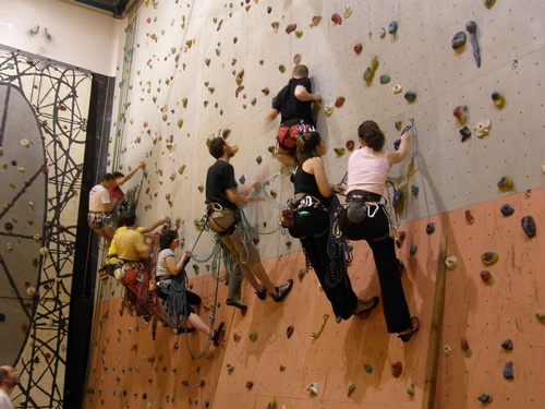 Des personnes vachées sur un mur d'escalade, en train d'apprendre les manipulations de corde.